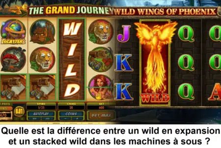 Quelle est la différence entre un wild en expansion et un stacked wild dans les machines à sous ?